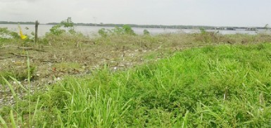 A section of the land where the mangroves were cut. 