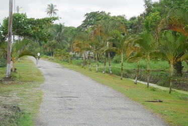 Some of the beautiful landscaping in Farm, East Bank Essequibo 