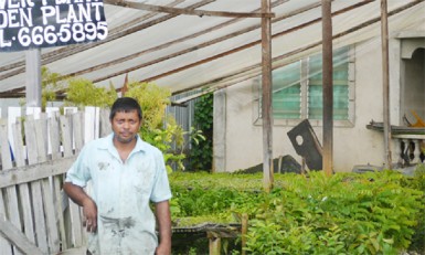 Mohamed Sherif in front of his plant shop 