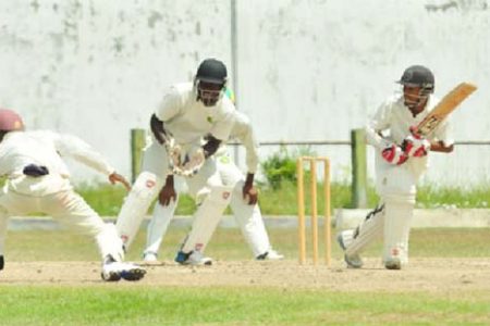  Vishaul Simgh made the opposition bowlers work during his patient knock of 109
