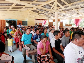 Apoteri residents at a public scoping meeting for the Baishanlin logging project.  
