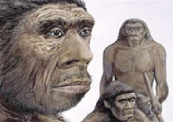 Neanderthal (Reuters) 