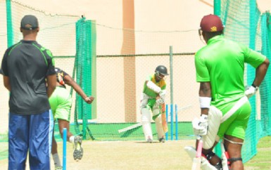 Shiv Chanderpaul sharpens his skills during a net  session yesterday at the stadium 