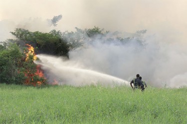 Firemen pouring water initially on the wildfire at the University of Guyana Turkeyen Campus that was being fed by the high grass and tall bushes in the field. (Photo by Arian Browne)