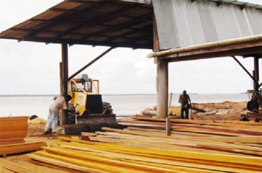 Workers at the sawmill 