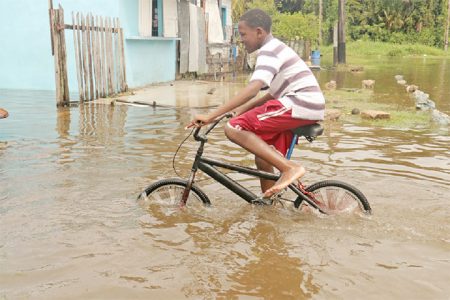An all-weather bike and biker in North East Ruimveldt during yesterday’s heavy flooding. (Arian Browne photo)
