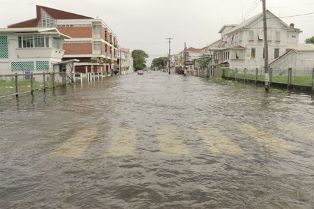 Ahoy there! Water as far as the eye could see on Middle Street yesterday following the heavy rain. (Arian Browne photo)