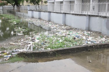 The gutter outside of St Stanislaus College along Brickdam is clogged with plastic bottles. 