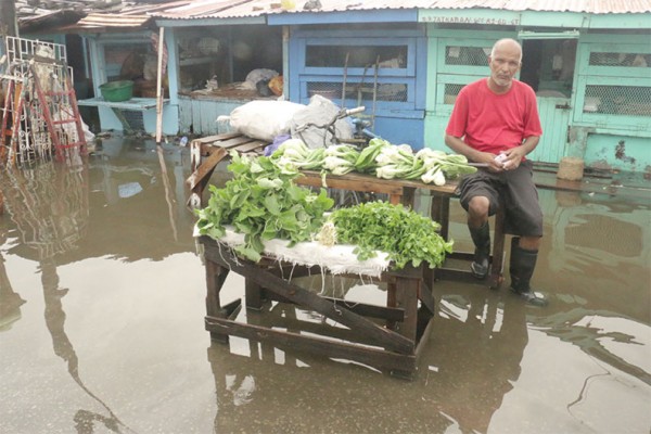 Making a living in the flood: A vegetable seller at Bourda Market yesterday.