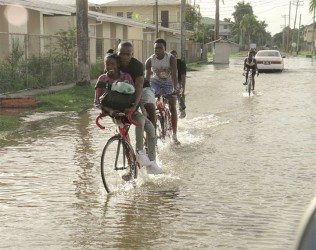 Youths cycling through the floodwater in Woolford Avenue. 