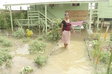  Sandra Ramotar standing in her flooded garden. 