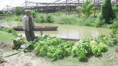A farmer with some of his produce. 