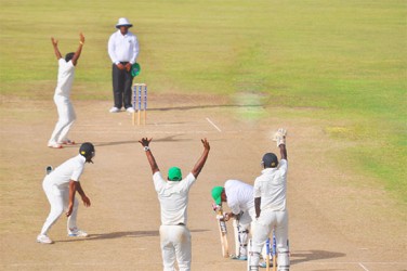 Veerasammy Permaul has Alston Bobb trapped LBW for 24 as the Jaguars roared to their second straight win 