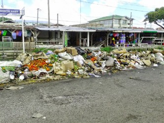 Garbage piled up along North Road which has become a regular eyesore. 