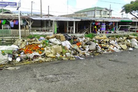 Garbage piled up along North Road which has become a regular eyesore.
