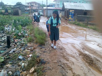 Schoolchildren as they attempt to make their way to school along the deplorable road 