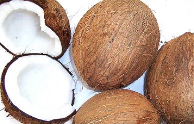 Increased dried coconut exports contributed significantly to Guyana’s overseas market expansion in 2013.   