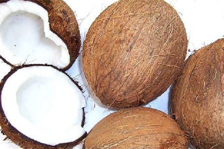Increased dried coconut exports contributed significantly to Guyana’s overseas market expansion in 2013.
