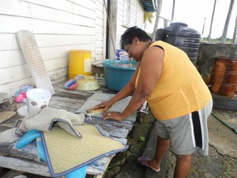  Lallita Bisram washing floor mats 