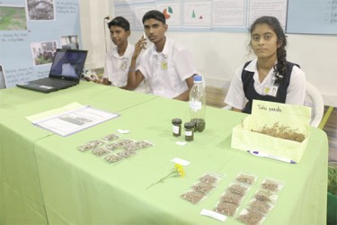 Students of the Skeldon Line Path Secondary School who proposed using plants to control the spread of Chikungunya. This project involves the use of the marigold and tulsi plants, which can be boiled to make a brew that can be applied to the skin to repel mosquitoes. (Photo by Arian Browne)