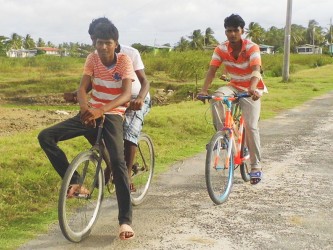 Youths on their way to the ball field to play cricket 