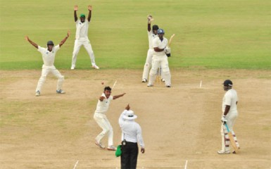 Devendra Bishoo appeals successfully for the big wicket of Dwayne Smith 