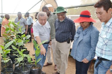 Prime Minister Samuel Hinds (second from left), Yvonne Hinds (second from right), Chairman of Borion Guyana Inc., Kok-Tiong Wee (left), and Executive Director, Chiok-Boon Tan during a tour of the test farm at Kairuni.  (GINA photo)