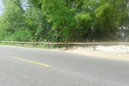 A section of the barricade erected along the Friendship Public Road, on the East Bank of Demerara.    