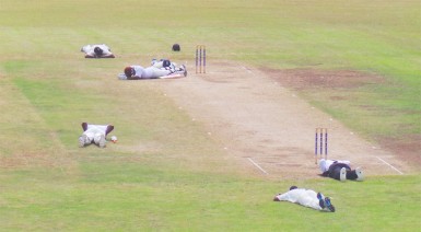 It's not an emergency drill, but players and officials duck for cover from a swarm of bees on the third day of the fourth round match between Windward Islands Volcanoes and Barbados Pride in the WICB Professional Cricket League Regional 4-Day Tournament on Sunday, December 7, 2014 at the Arnos Vale Sports Complex.