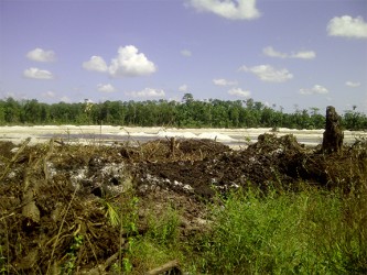 A section of the farmlands which had been flattened to facilitate the airport expansion project.