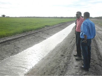 Minister of Natural Resources and the Environment, Robert Persaud (second from right) looking at a drainage canal on the Santa Fe farm (GINA photo) 