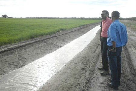 Minister of Natural Resources and the Environment, Robert Persaud (second from right) looking at a drainage canal on the Santa Fe farm (GINA photo)
