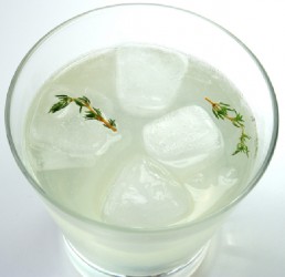 Thyme Lime Vodka Cocktail (Photo by Cynthia Nelson) 