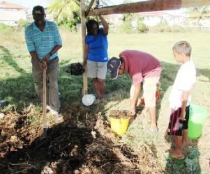 Mon Repos residents gathering their compost (Guyenterprise photo)