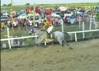 Heading to the bank! Handlers of Score’s Even accepting the $1M first prize cheque. (Orlando Charles photo)