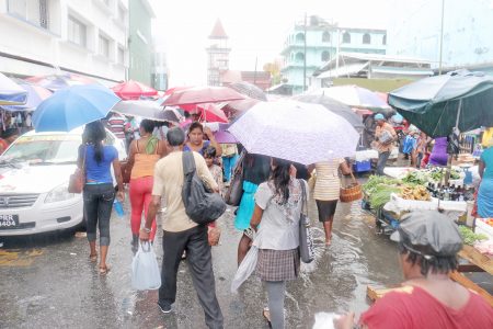 Umbrellas everywhere in today’s shopping near the Stabroek Market