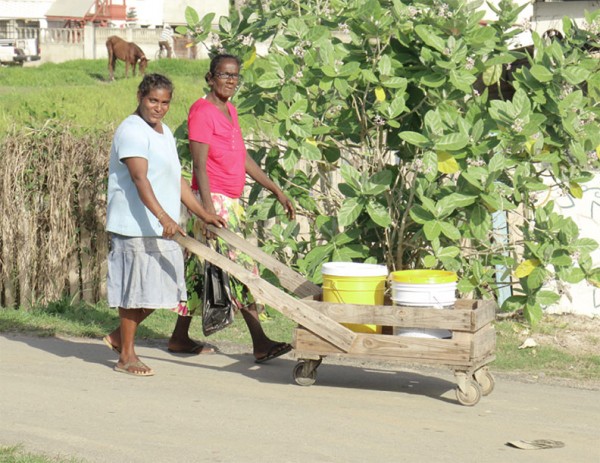 Lighter load: These two Herstelling, East Bank Demerara women made it easy on themselves by pushing their buckets along in a makeshift cart, rather than fetching them on their heads or in their hands. (Photo by Arian Browne)