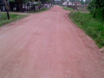 The road which will be paved with the hydraulic oil. 