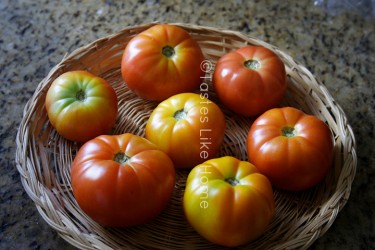 Ripening tomatoes (Photo by Cynthia Nelson) 