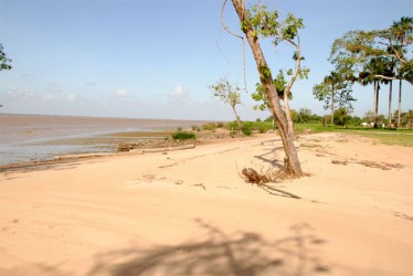 A picturesque view of the magnificent Essequibo River 