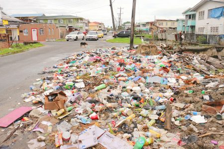 A large garbage dump at Sussex and Hogg Sts, Albouystown.