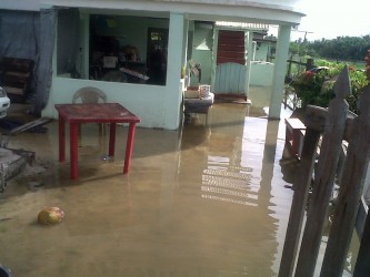 A flooded yard in Richmond.