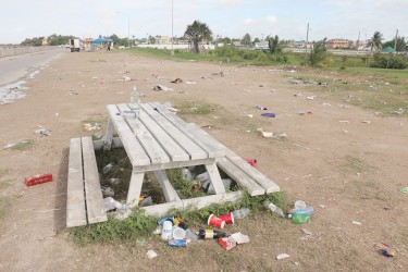 Two days after the Sunday seawall lime, this was the condition in which it was left by citizens not far from the 1823 monument.