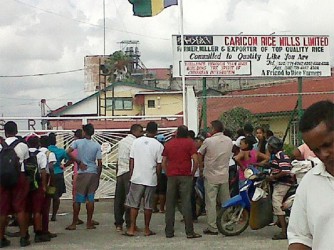 A crowd gathered at Caricom Rice Mills yesterday. 