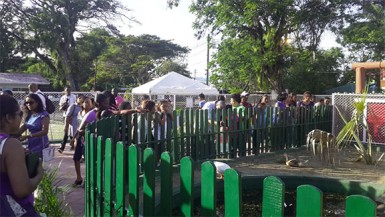 After the ribbon cutting ceremony children and their guardians gathered to see the animals in the new Petting Zoo at the Zoological Park. 