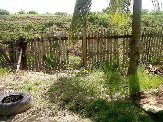 The hole in the fence through which the bandits entered and escaped. 