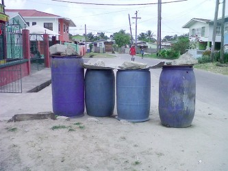 Tightly covered drums to prevent hungry dogs from creating a mess.