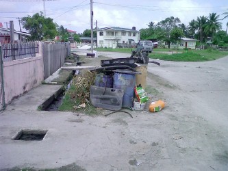 Garbage waiting to be collected on Marigold Street. 