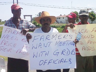 Head of the Essequibo Paddy Farmers Association Naith Ram (second, left) and other rice farmers protesting at Anna Regina High Bridge yesterday