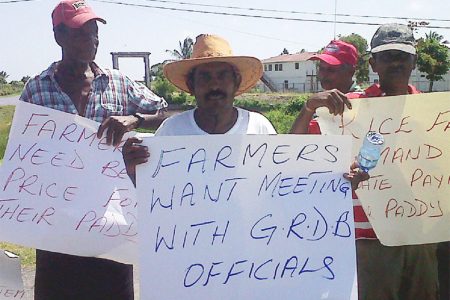 Head of the Essequibo Paddy Farmers Association Naith Ram (second, left) and other rice farmers protesting at Anna Regina High Bridge yesterday